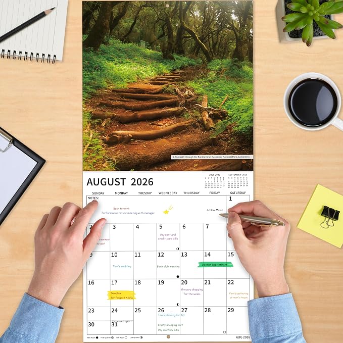 2026-2027 Wall Calendar, 2026-2027 Pathways Calendar, 18 Months from Jul 2026 - Dec 2027, 12" x 24" Open, Thick Paper, Hanging Holes, Large Blocks, Holidays, Gifts for Planning Organizing