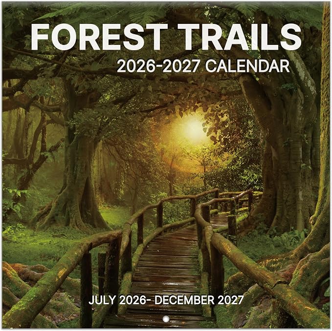 2026-2027 Wall Calendar, 2026-2027 Pathways Calendar, 18 Months from Jul 2026 - Dec 2027, 12" x 24" Open, Thick Paper, Hanging Holes, Large Blocks, Holidays, Gifts for Planning Organizing