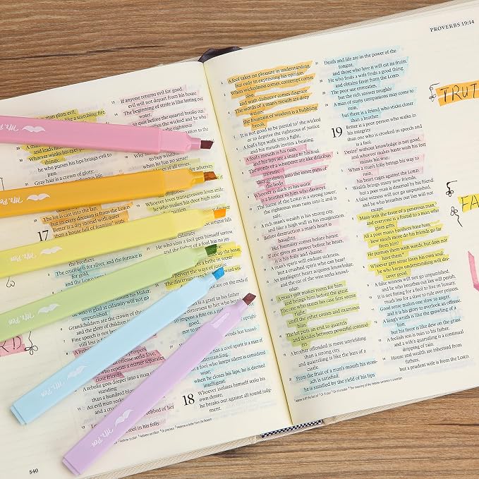 Mr. Pen- Aesthetic Highlighters and Ballpoint Pens No Bleed, 12 Pack | Spring Pastel, Bible Highlighters and Pens No Bleed, Fast Dry and No Smear for Bible Journaling, Planner, School Supplies