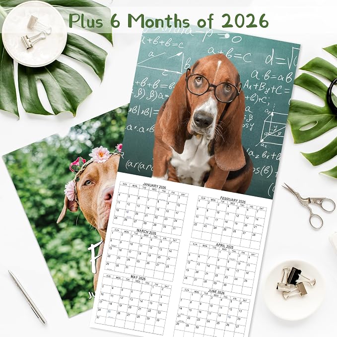 2026-2027 Calendar - 18-Month Wall Calendar 2026-2027 Funny Dog Calendars from Jul. 2026 - Dec. 2027, Wall Calendar with Unruled Blocks, Holidays, 12" x 24"(open), Fun Wall Calendars Gag Gifts - Funny Dog