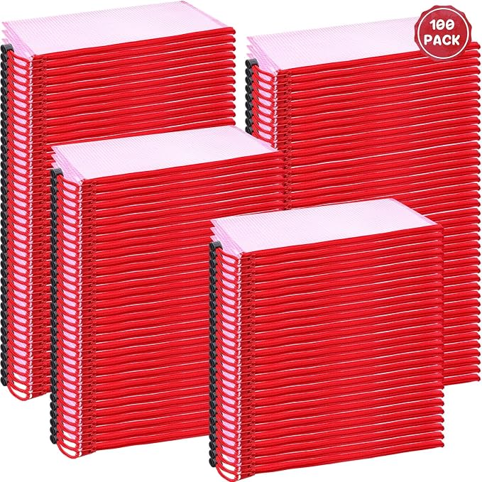 Handepo 100 Pack Mesh Zipper Pouch Pencil Pouches Bulk Clear Storage Bag Small Waterproof Purse Bag Multipurpose for Cash Board Game Passport Office(A6/9.45x4.53in,Red)