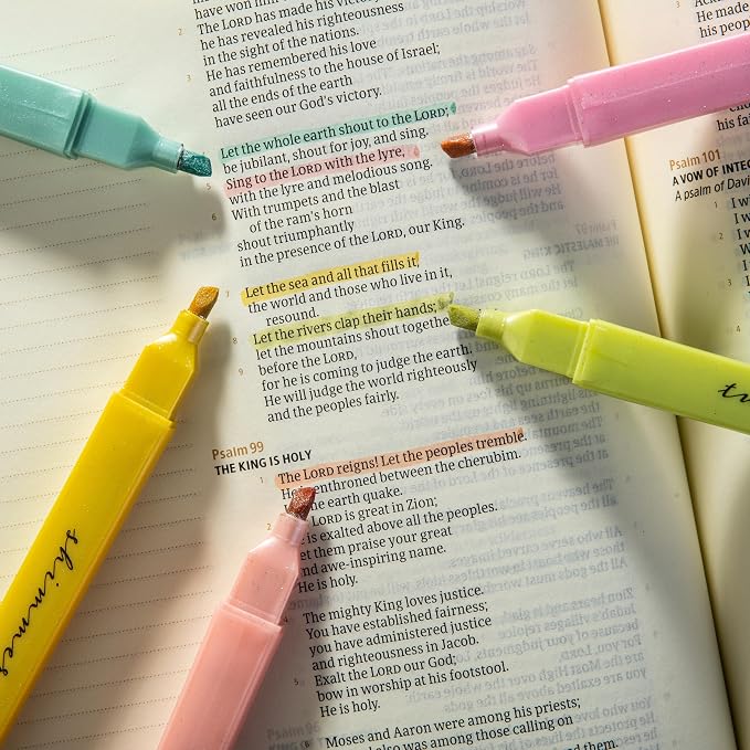 DIVERSEBEE Glitter Bible Highlighters with Soft Chisel Tip (Sunshine) | 5 Pack Assorted Color Pens No Bleed, Quick Dry, Cute Aesthetic Marker Set for Bible Study Journaling Supplies