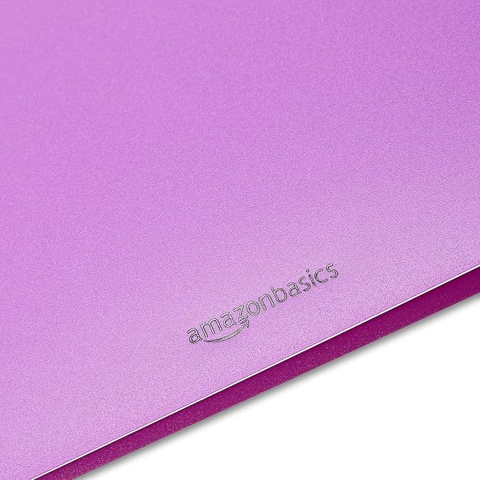 Amazon Basics Plastic 3-Hole Punch File Folders with 2 Pockets for Documents, Letter Size 8.5 x 11 inches, Assorted Colors, Pack of 6