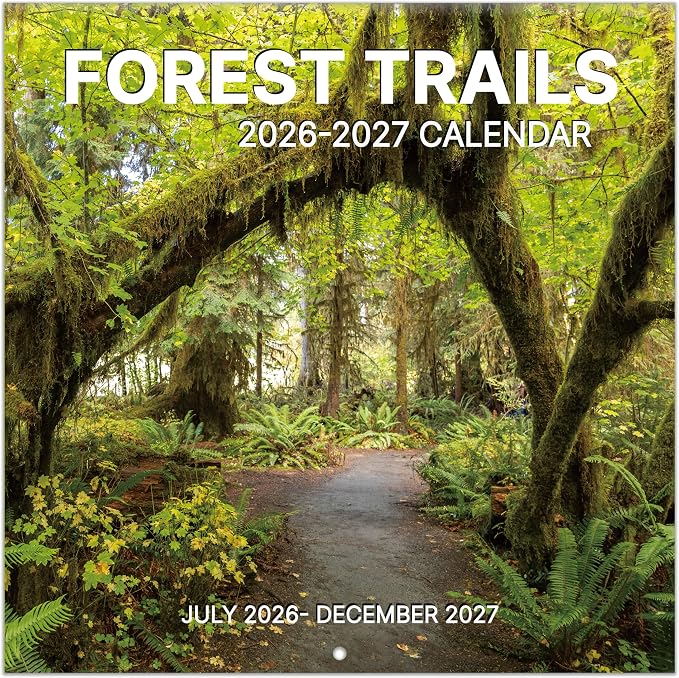 2026-2027 Wall Calendar, 2026-2027 Pathways Calendar, 18 Months from Jul 2026 - Dec 2027, 12" x 24" Open, Thick Paper, Hanging Holes, Large Blocks, Holidays, Gifts for Planning Organizing